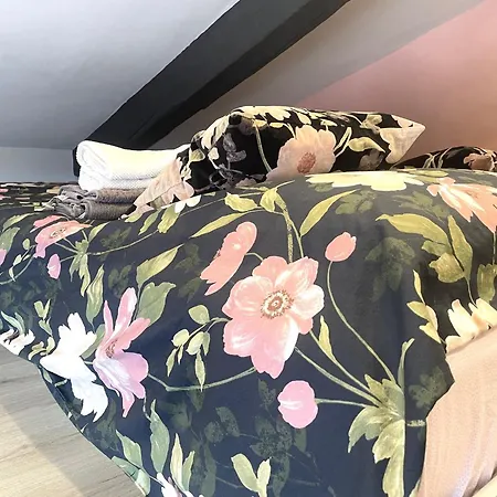 Apartmán Cernaia 25 *