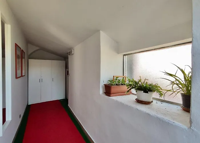 Apartmán Cernaia 25 *